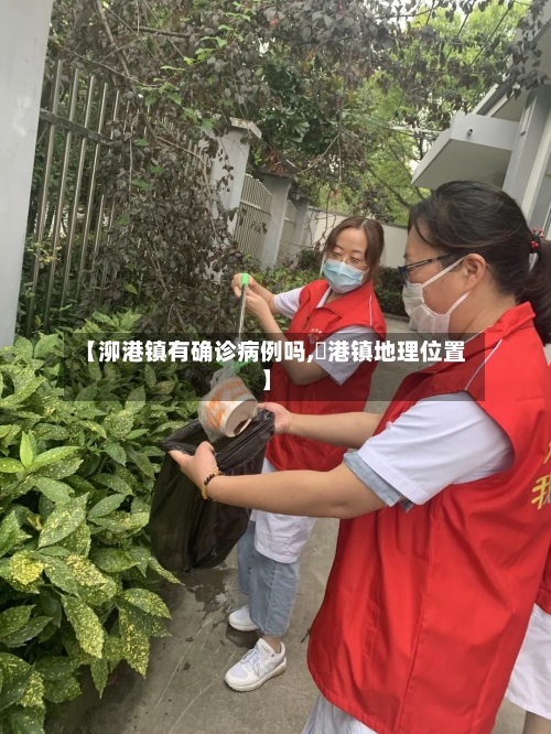 【泖港镇有确诊病例吗,弶港镇地理位置】-第2张图片