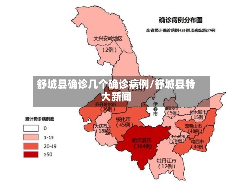 舒城县确诊几个确诊病例/舒城县特大新闻-第2张图片