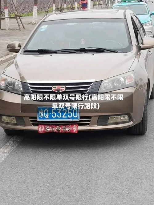 高阳限不限单双号限行(高阳限不限单双号限行路段)-第2张图片
