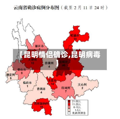 【昆明情侣确诊,昆明病毒】
