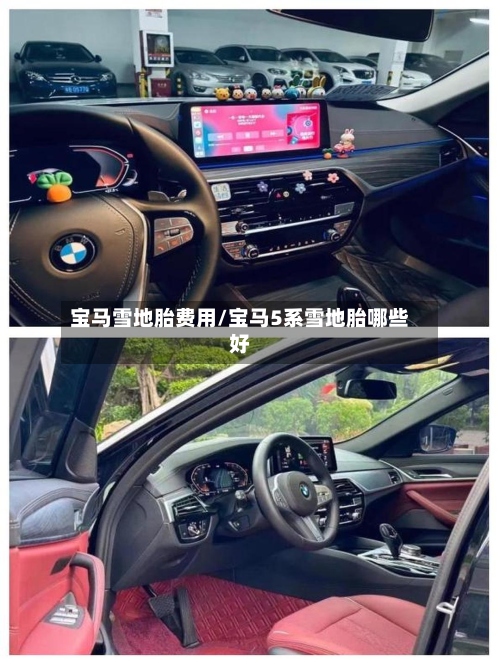 宝马雪地胎费用/宝马5系雪地胎哪些好-第2张图片