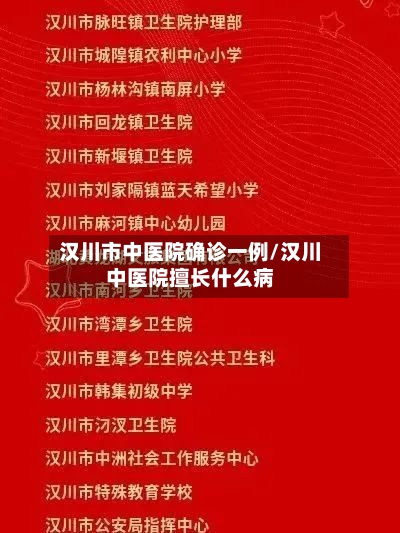 汉川市中医院确诊一例/汉川中医院擅长什么病