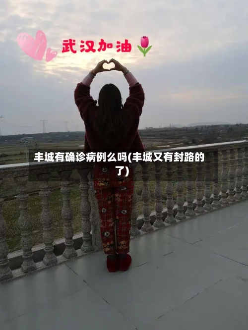 丰城有确诊病例么吗(丰城又有封路的了)
