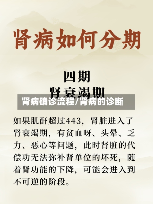 肾病确诊流程/肾病的诊断