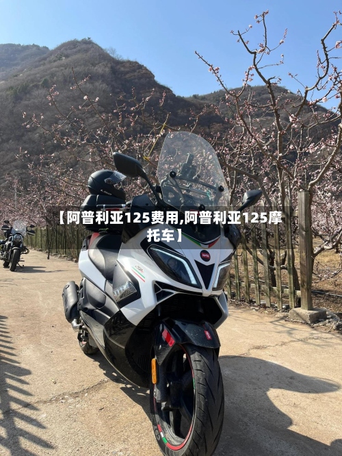 【阿普利亚125费用,阿普利亚125摩托车】