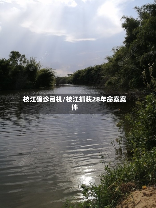 枝江确诊司机/枝江抓获28年命案案件