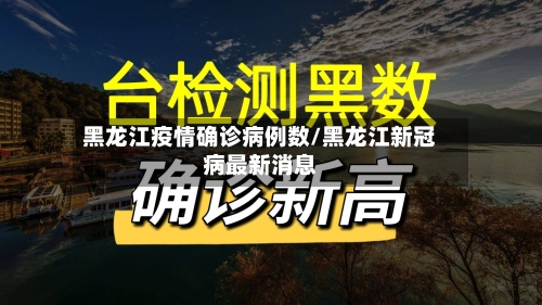 黑龙江疫情确诊病例数/黑龙江新冠病最新消息