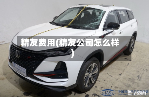 精友费用(精友公司怎么样)