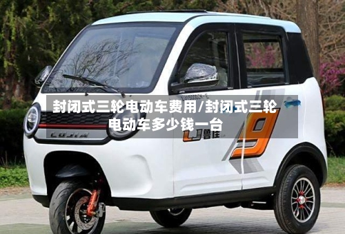 封闭式三轮电动车费用/封闭式三轮电动车多少钱一台