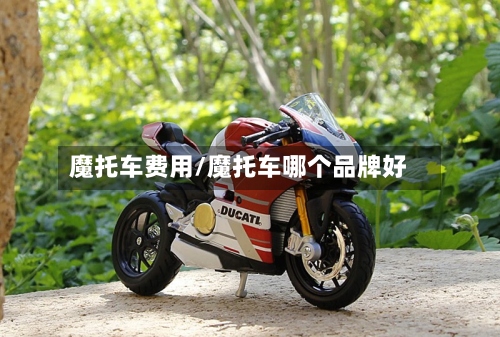 魔托车费用/魔托车哪个品牌好