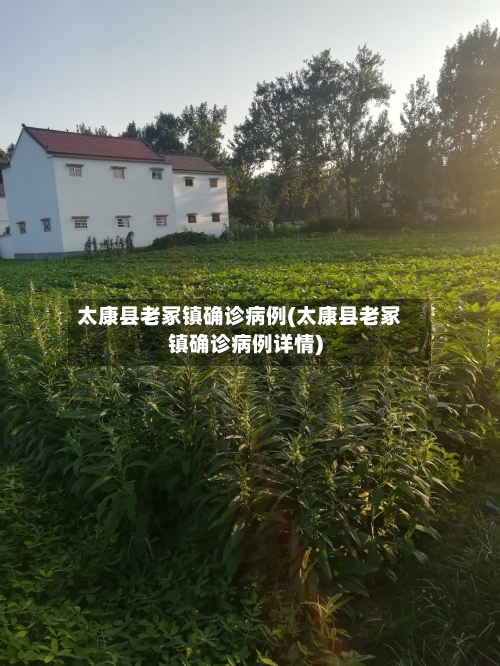太康县老冢镇确诊病例(太康县老冢镇确诊病例详情)