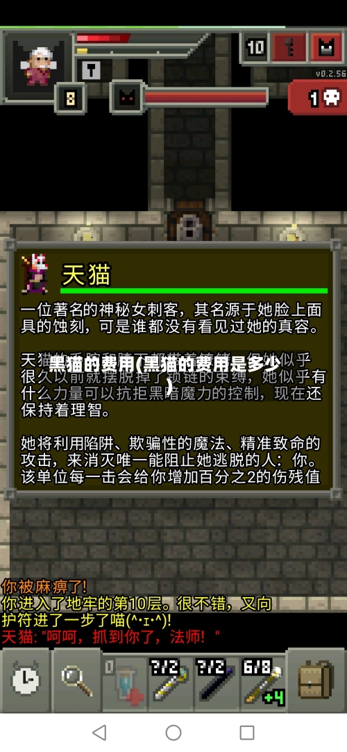 黑猫的费用(黑猫的费用是多少)