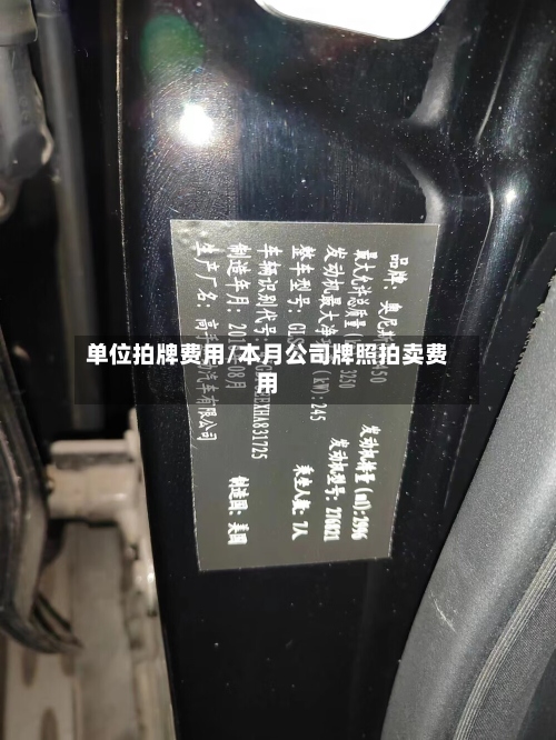 单位拍牌费用/本月公司牌照拍卖费用