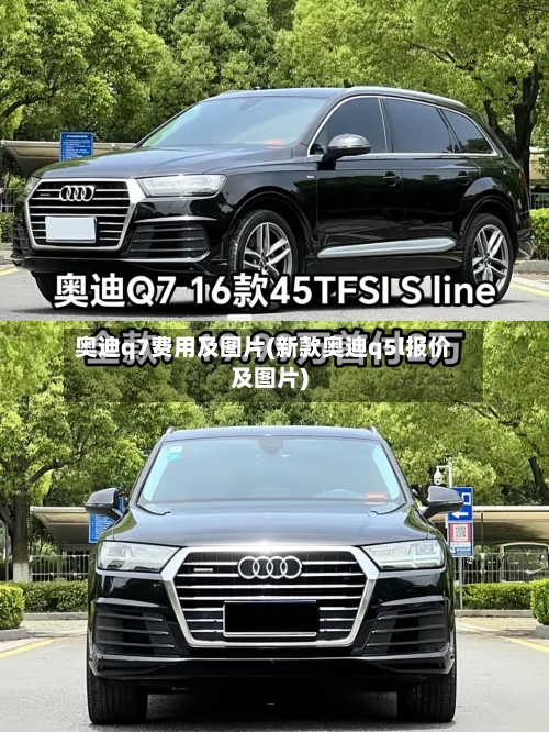 奥迪q7费用及图片(新款奥迪q5l报价及图片)-第2张图片