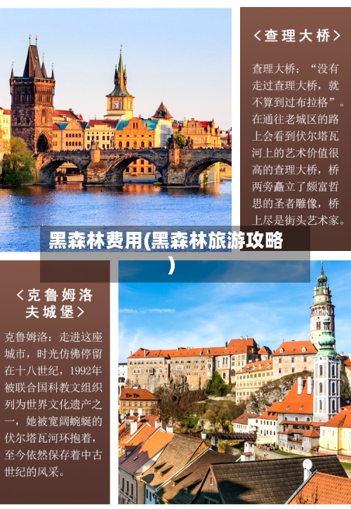 黑森林费用(黑森林旅游攻略)-第2张图片