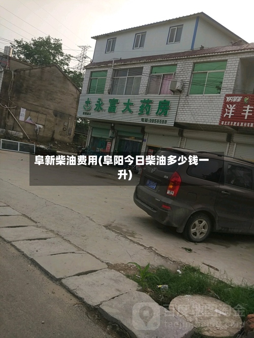 阜新柴油费用(阜阳今日柴油多少钱一升)