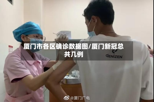 厦门市各区确诊数据图/厦门新冠总共几例-第2张图片