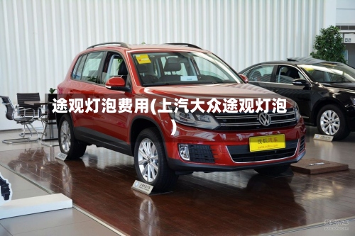 途观灯泡费用(上汽大众途观灯泡)