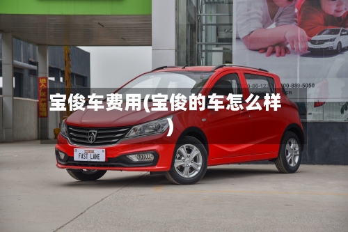 宝俊车费用(宝俊的车怎么样)