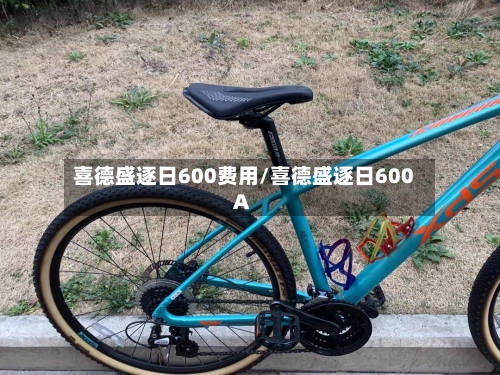 喜德盛逐日600费用/喜德盛逐日600A