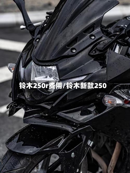 铃木250r费用/铃木新款250-第2张图片