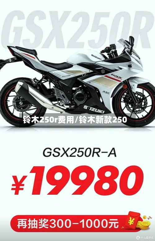 铃木250r费用/铃木新款250-第3张图片