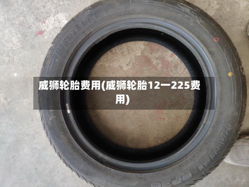 威狮轮胎费用(威狮轮胎12一225费用)
