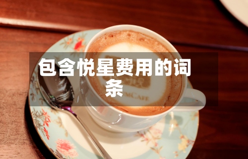 包含悦星费用的词条-第3张图片