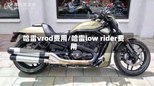 哈雷vrod费用/哈雷low rider费用-第2张图片