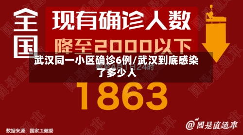 武汉同一小区确诊6例/武汉到底感染了多少人-第2张图片