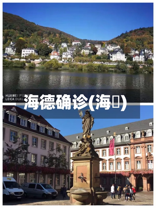 海德确诊(海徳)-第3张图片