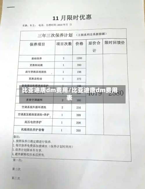 比亚迪唐dm费用/比亚迪唐dm费用表-第2张图片