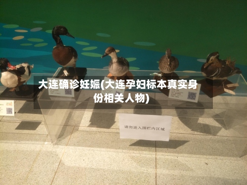 大连确诊妊娠(大连孕妇标本真实身份相关人物)-第2张图片