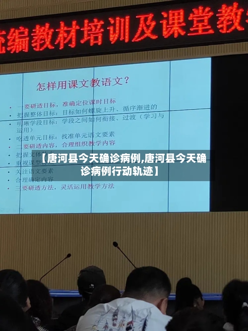 【唐河县今天确诊病例,唐河县今天确诊病例行动轨迹】-第2张图片