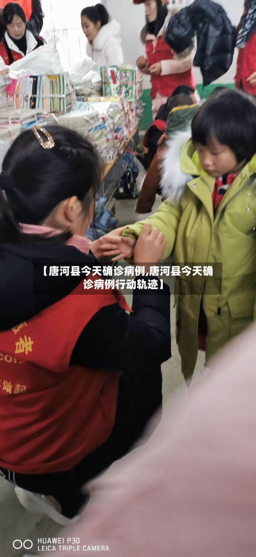 【唐河县今天确诊病例,唐河县今天确诊病例行动轨迹】-第3张图片