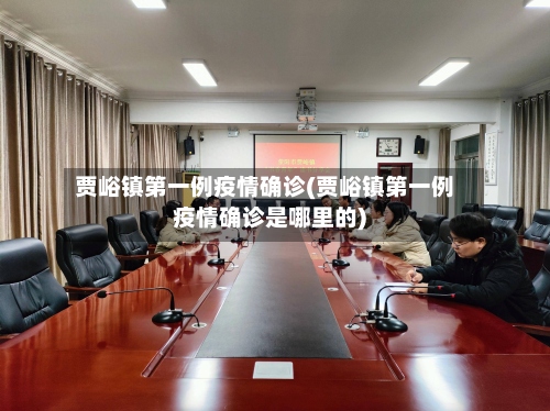 贾峪镇第一例疫情确诊(贾峪镇第一例疫情确诊是哪里的)