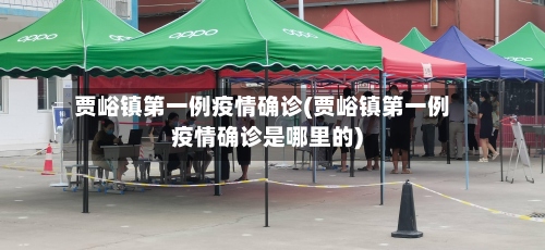 贾峪镇第一例疫情确诊(贾峪镇第一例疫情确诊是哪里的)-第3张图片