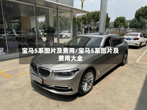 宝马5系图片及费用/宝马5系图片及费用大全-第3张图片
