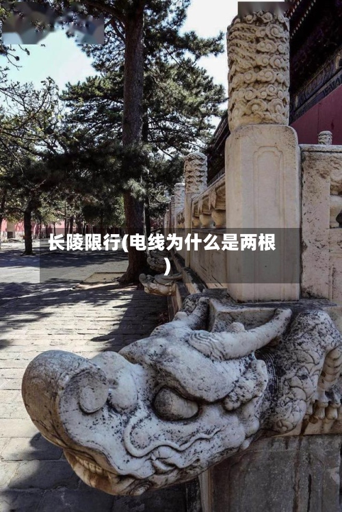 长陵限行(电线为什么是两根)