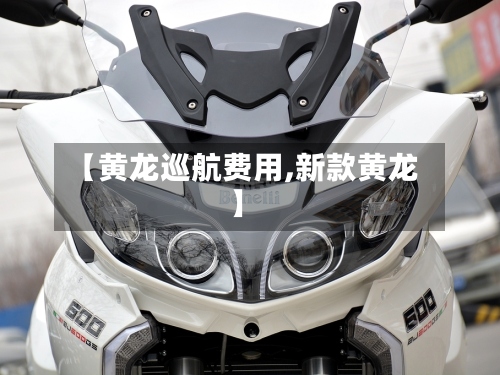 【黄龙巡航费用,新款黄龙】-第2张图片