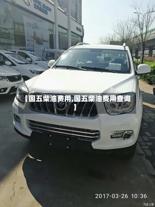 【国五柴油费用,国五柴油费用查询】