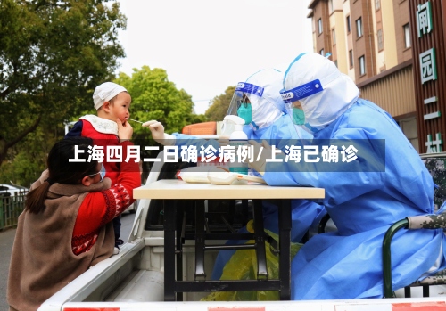 上海四月二日确诊病例/上海已确诊-第2张图片