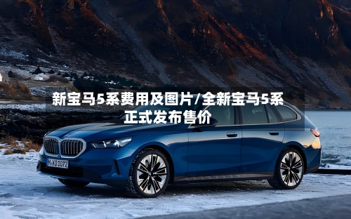 新宝马5系费用及图片/全新宝马5系正式发布售价-第3张图片