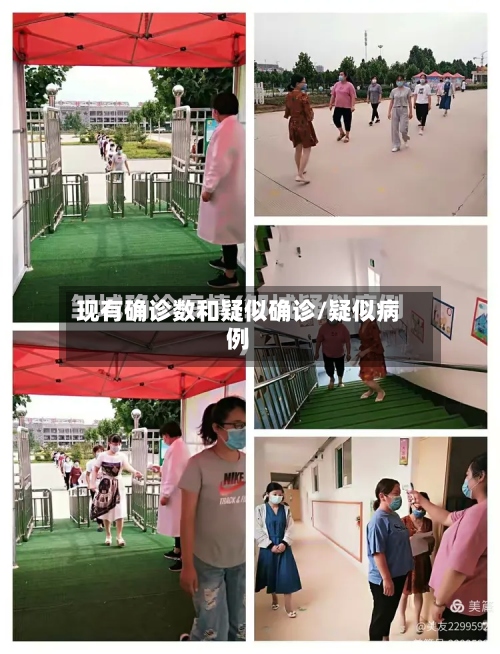 现有确诊数和疑似确诊/疑似病例