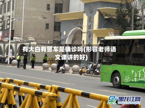 有大白有警车是确诊吗(形容老师语文课讲的好)-第3张图片