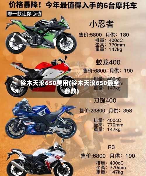 铃木天浪650费用(铃木天浪650最全参数)-第2张图片