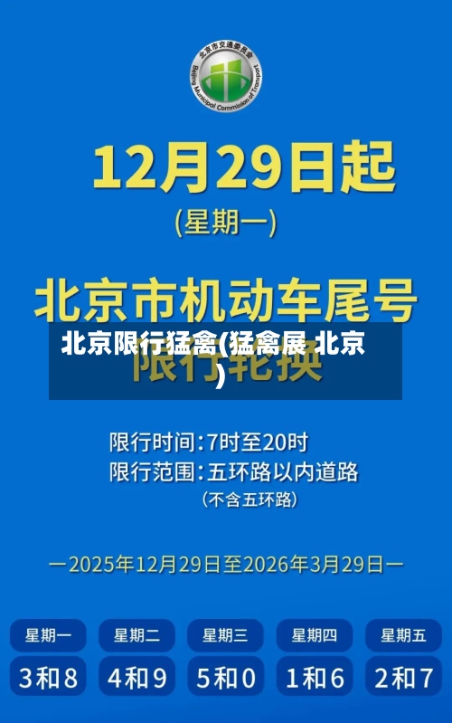 北京限行猛禽(猛禽展 北京)