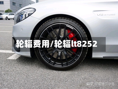 轮辐费用/轮辐lt8252-第3张图片