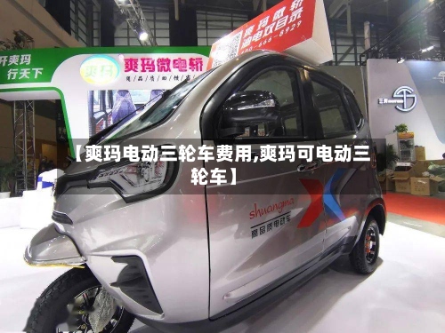【爽玛电动三轮车费用,爽玛可电动三轮车】-第2张图片