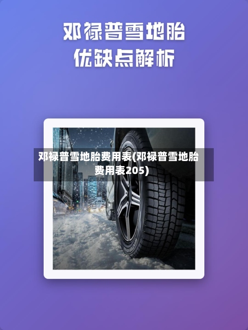 邓禄普雪地胎费用表(邓禄普雪地胎费用表205)-第3张图片
